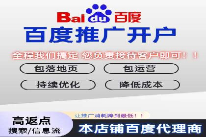 行业领先企业的SEM竞价代运营案例解析